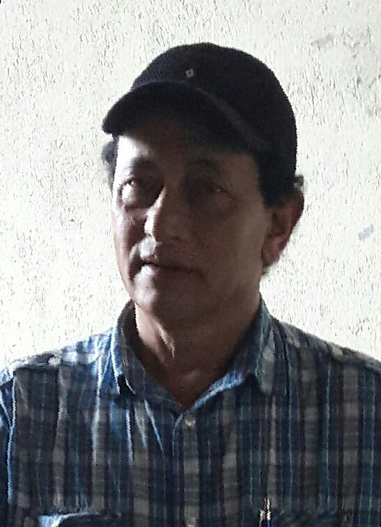 website design website development company